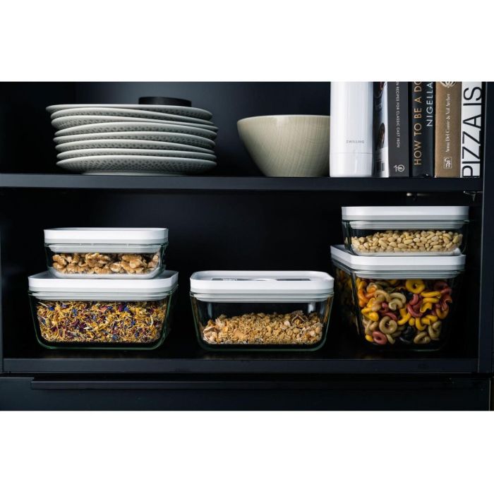 Zwilling Fresh&Save Vakuum Box M Kunststoff 6