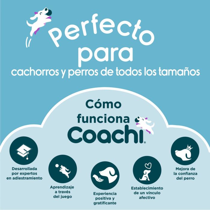 Juguete de adiestramiento Coachi CHASE & CRINKLE Azul 5