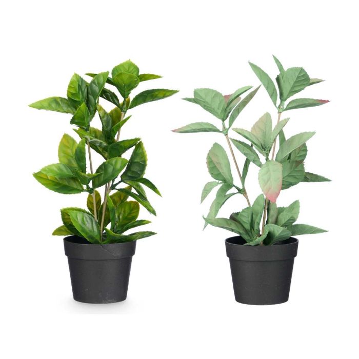 Maceta Planta Hoja Punta Mate Brillo Surtidos Col Ibergarden 16X35CM (12 Unidades) 1 Maceta Planta Hoja Punta Mate Brillo Surtidos Col Ibergarden 16X35CM (12 Unidades) 1