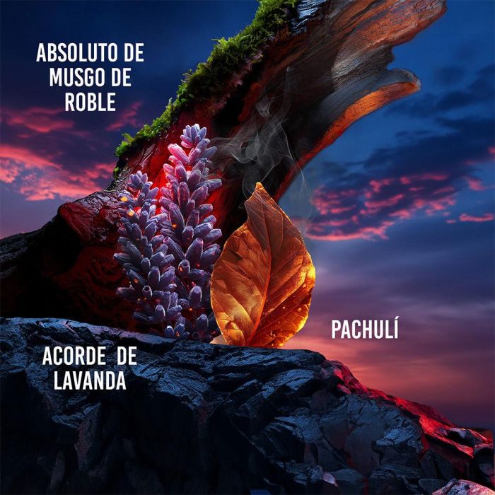 Drakkar DRAKKAR NOIR Eau de Toilette Vaporizador Hombre 100 ml Fougère Aromática 3