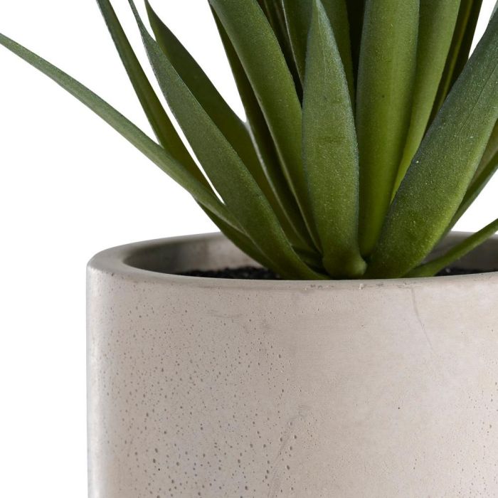 Day Planta Artificial 18cm Altura x 7.5cm Diámetro en Maceta de Cemento 9cm 1