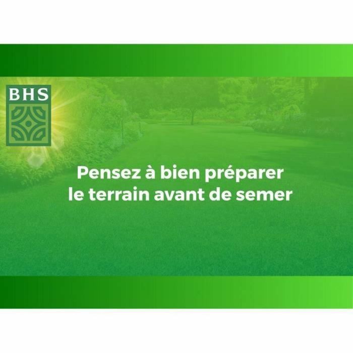 BHS BHS3366670001042 Césped Alta Resistencia Uso Intensivo 1KG 2 BHS BHS3366670001042 Césped Alta Resistencia Uso Intensivo 1KG 2