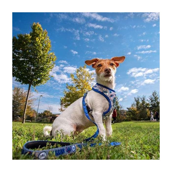Cerdá T4M:M/L Arnés para Perros Stitch Talla M-L Azul Oscuro 10 Cerdá T4M:M/L Arnés para Perros Stitch Talla M-L Azul Oscuro 10