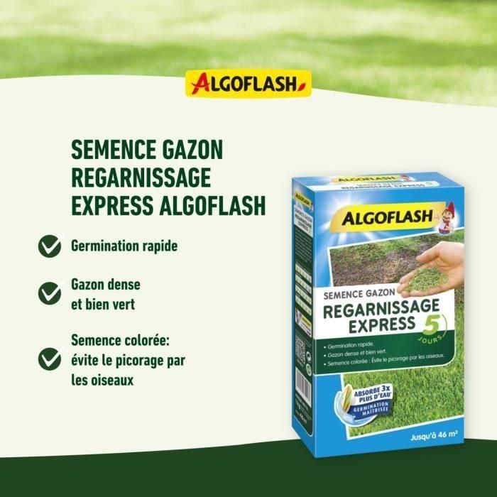 Grass Seeds Express Relining 5 días 3 kg 1 Grass Seeds Express Relining 5 días 3 kg 1