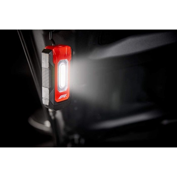 Luz De Bolsillo Wl300 F110820 4 Luz De Bolsillo Wl300 F110820 4