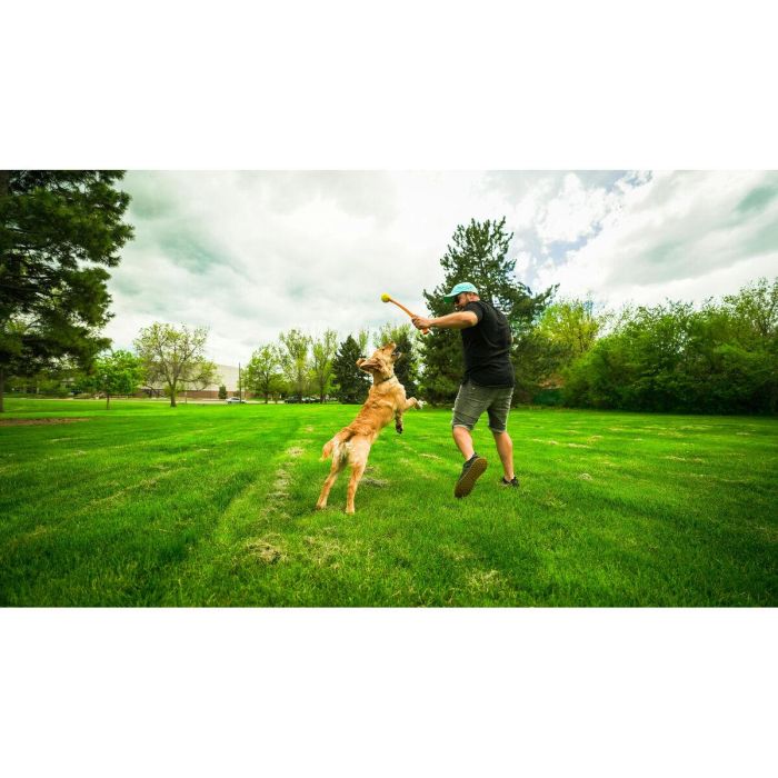 FLINGERZ Pelota de Juguete para Perro con Lanzador Universal - Goma Resistente, Rellenable con Snacks, Silbante, Flotante, Lanzamiento Largo 3 FLINGERZ Pelota de Juguete para Perro con Lanzador Universal - Goma Resistente, Rellenable con Snacks, Silbante, Flotante, Lanzamiento Largo 3