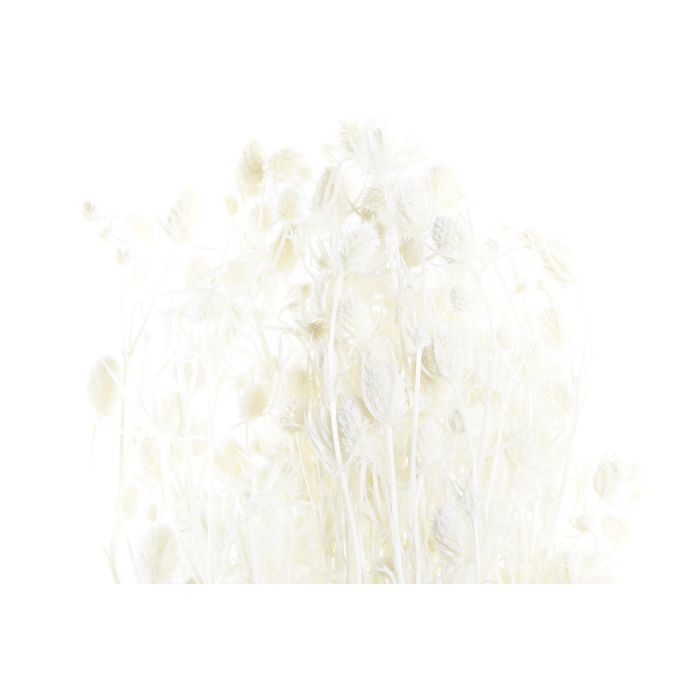 DKD Home Decor Rama Shabby Blanco Marron 20 x 70 x 20 cm (12 Unidades) 2