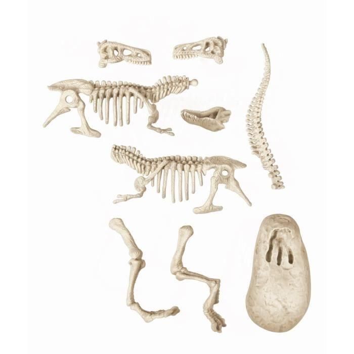 Clementoni Juego Científico Science & Game Archéo Ludic Kit de Excavación Dinosaurio Velociraptor Esqueleto Brilla en la Oscuridad 4