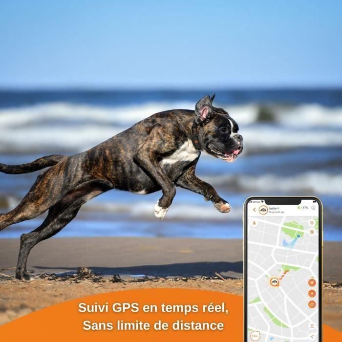 GPS Tracker for Dogs - Weenect XS (Black Edition 2023) 4 GPS Tracker for Dogs - Weenect XS (Black Edition 2023) 4