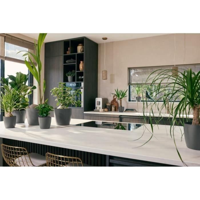 Elho 5661461877341 Juego 3 Maceteros Redondos The Coffee Collection Plástico Marrón Ø14/16/18cm Capacidad 7L 2