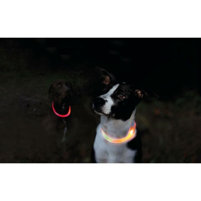 Collar LED para Mascotas Trixie Naranja L/XL 3