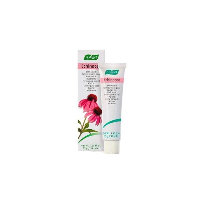 Crema Echinacea