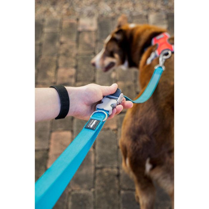 Red Dingo Superlead Correa Ajustable Manos Libres para Perro Marrón 20mm Ancho 1.1-1.8m Largo Máx 30kg Nylon 5