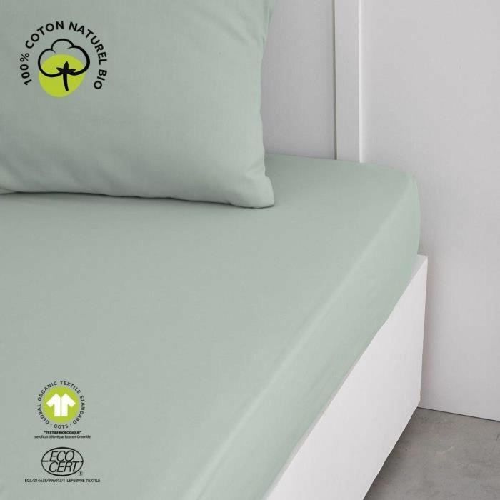 Today TOD3574643509574 Sábana Bajera Algodón, Color Celadón Orgánico, para Cama 160x200 cm y colchón +30 cm 2