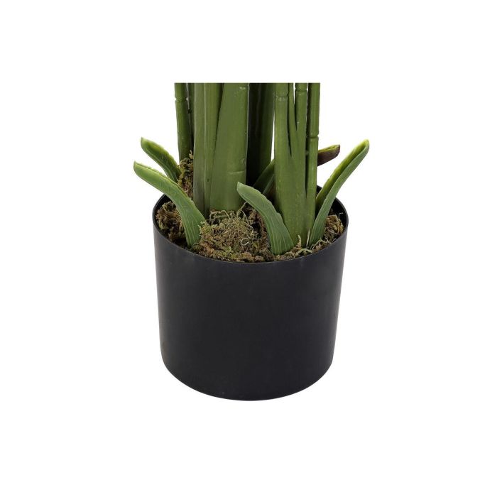 Planta Decorativa DKD Home Decor Palmeras Verde PE (50 x 50 x 180 cm) 1 Planta Decorativa DKD Home Decor Palmeras Verde PE (50 x 50 x 180 cm) 1