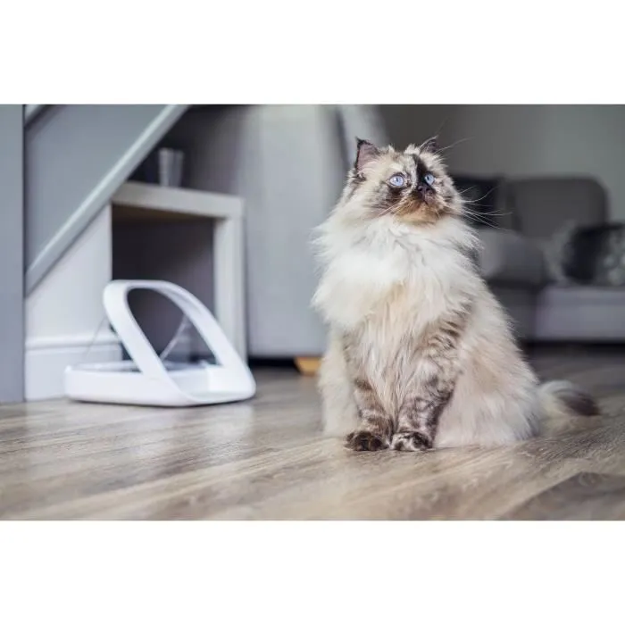 Sureflap Connect Feeder Blanco para gatos 4