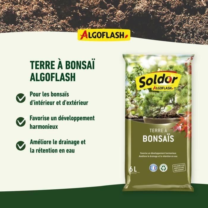ALGOFLASH - Tierra Bonsai 6 L 2 ALGOFLASH - Tierra Bonsai 6 L 2