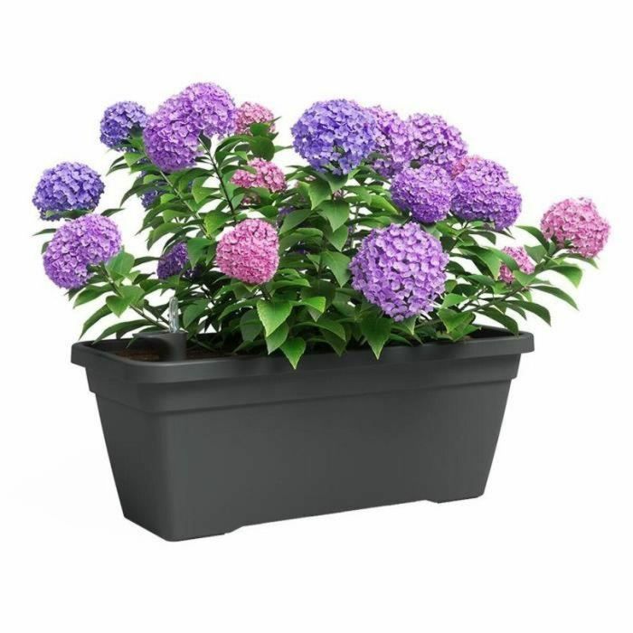 Jardinera - Plástico - Antracita - Rectangular - L77,9 x P24 x H22cm - ARTEVASI 1