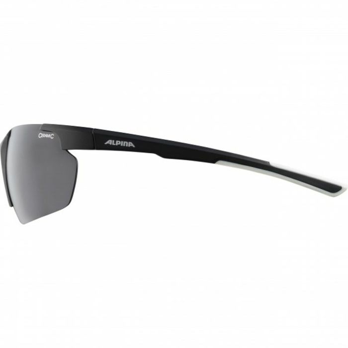 Gafas de Sol Hombre Alpina DEFEY HR 2