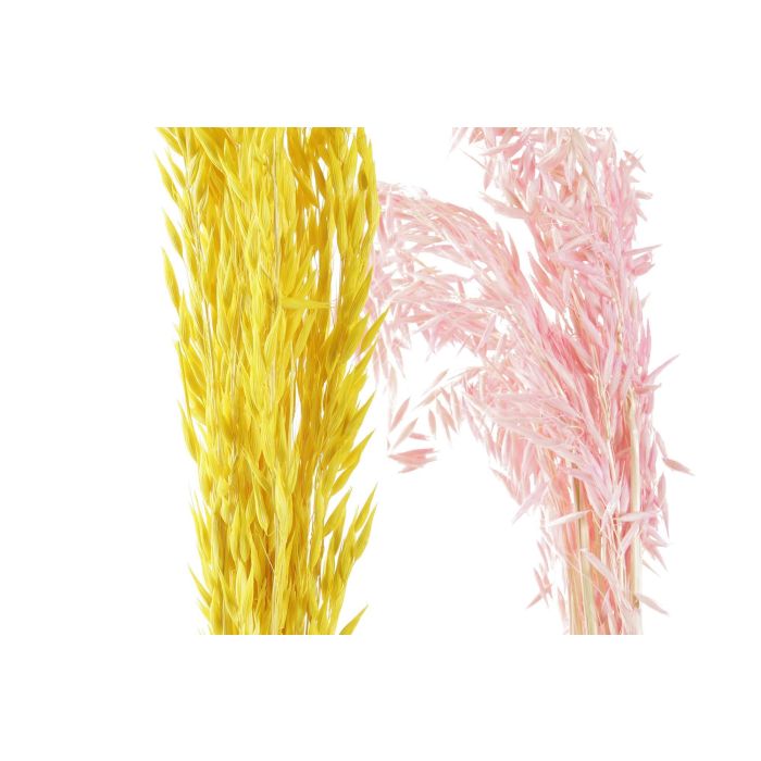 DKD Home Decor Rama de Flor Seca Avena Decorativa Amarillo Rosa para Interiores | 63 cm Alto | Pack 12 Unidades 1 DKD Home Decor Rama de Flor Seca Avena Decorativa Amarillo Rosa para Interiores | 63 cm Alto | Pack 12 Unidades 1