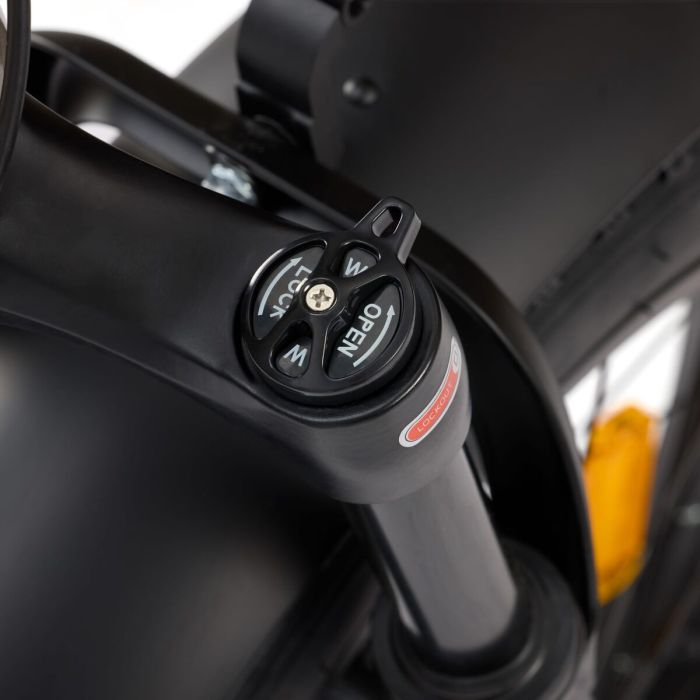 Bicicleta Eléctrica Nilox NXEBX10BK Negro 250 W 13000 mAh 20" 6