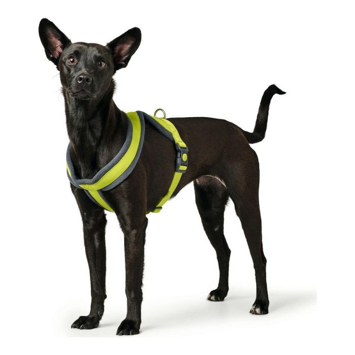 Arnés para Perro Hunter London Comfort XS-S 39-47 cm Lima 0 Arnés para Perro Hunter London Comfort XS-S 39-47 cm Lima 0