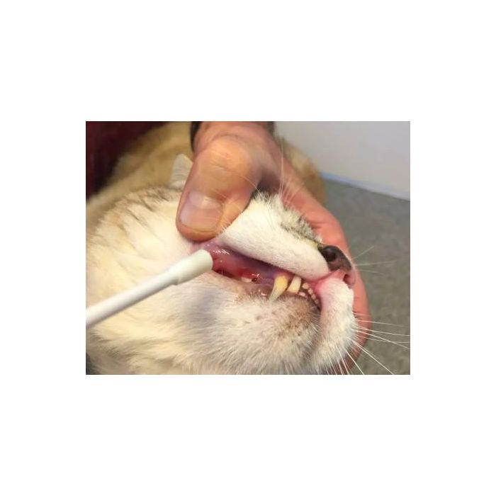 Doleonat 4 para perros <10 kg, 15 mL
