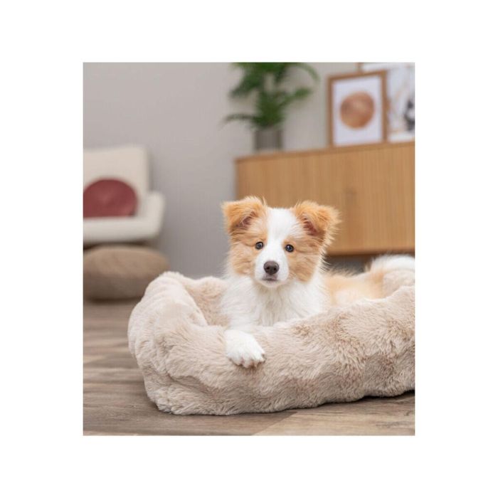 Cama para Perro Trixie Arena 80 × 60 cm 4 Cama para Perro Trixie Arena 80 × 60 cm 4