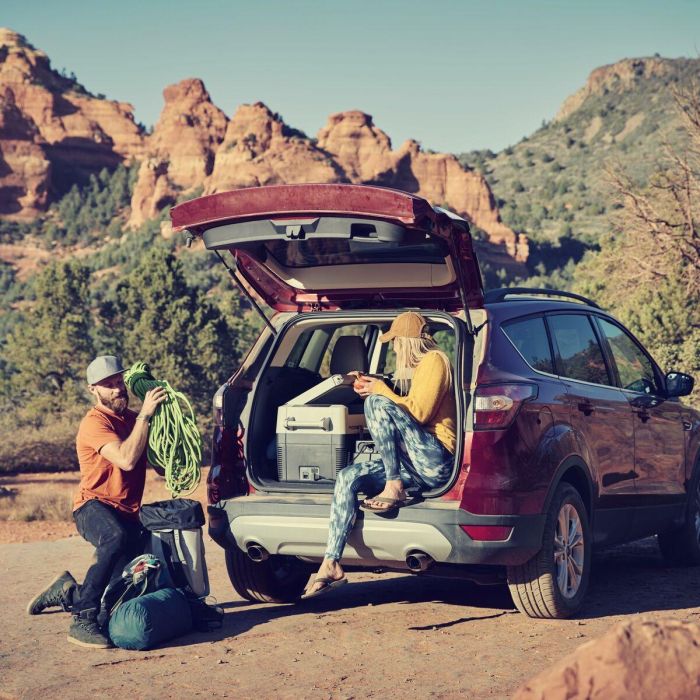 Dometic Nevera Portátil Eléctrica CFF45 Compresor 44 Litros 12V 24V 230V Negro 14