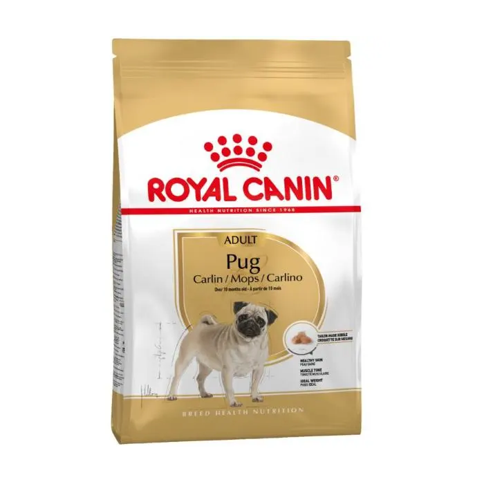Royal Canin Adult Carlino 3 kg - Alimento para perros adultos de raza Carlino