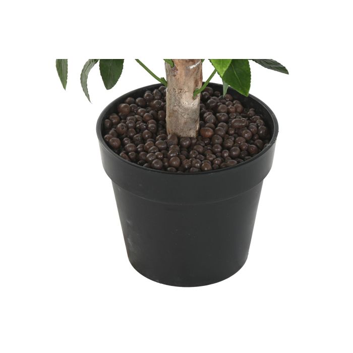 Arbol Tropical DKD Home Decor Verde Marron 50 x 150 x 50 cm (2 Unidades) 3 Arbol Tropical DKD Home Decor Verde Marron 50 x 150 x 50 cm (2 Unidades) 3