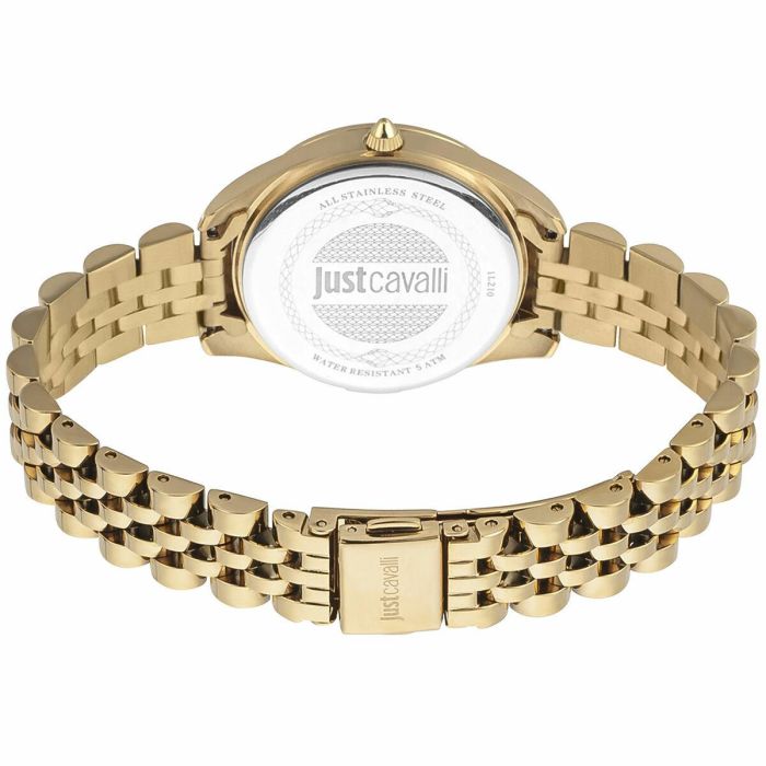 Reloj Mujer Just Cavalli JC1L210M0155 9
