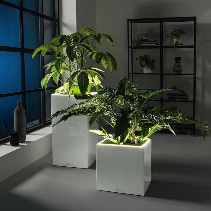 Macetero LECHUZA Canto Premium Column 40 - kit LED completo, blanco brillo 4 Macetero LECHUZA Canto Premium Column 40 - kit LED completo, blanco brillo 4