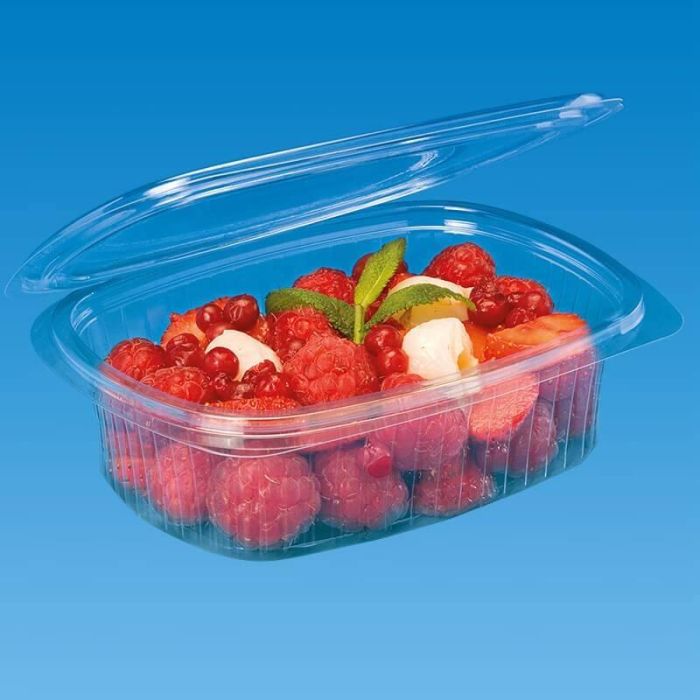 Set de 5 envases ovalados con tapa bisagra PP 250 ml - Algon (10 Cajas) 2 Set de 5 envases ovalados con tapa bisagra PP 250 ml - Algon (10 Cajas) 2