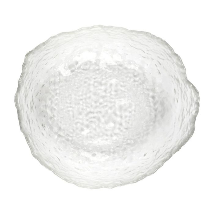 Home Deco Factory Bol 700 Ml Diámetro 16.5 cm 2