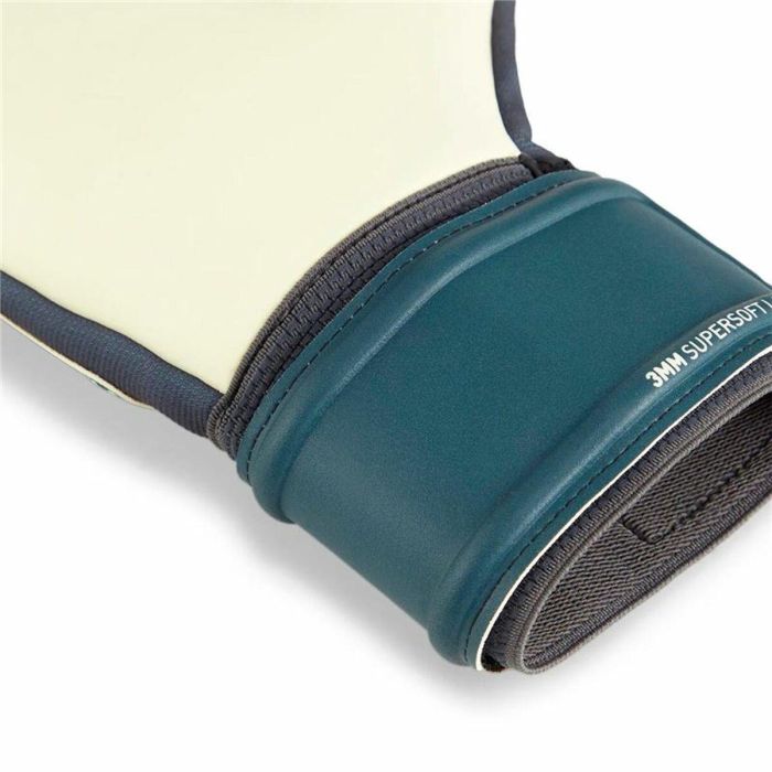 Guantes de Portero Puma Future Match Nc Multicolor Adultos 1