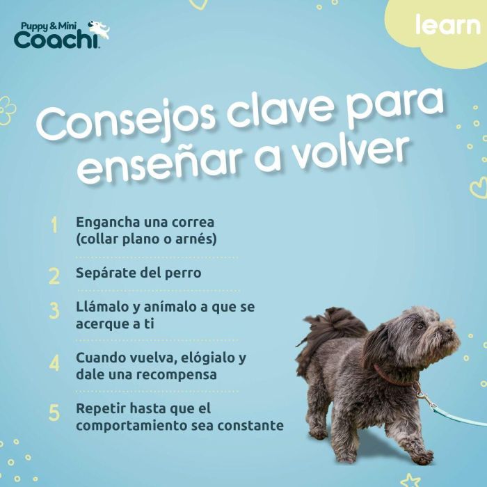Arnés para Perro Coachi 1 Arnés para Perro Coachi 1