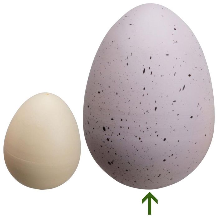 Jeux 2 momes Huevo Mágico Dinosaurio Gigante 2 momes 4 Jeux 2 momes Huevo Mágico Dinosaurio Gigante 2 momes 4