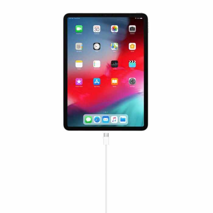 Cable USB C Apple MM093ZM/A 1 m Blanco 1
