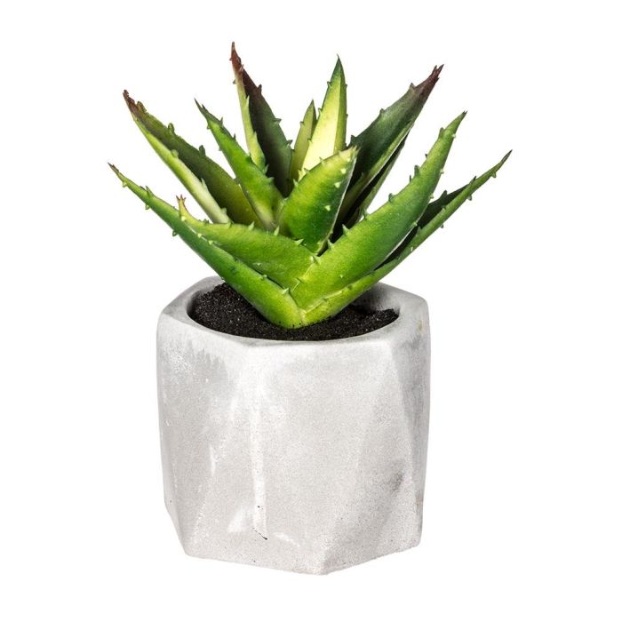 Atmosphera Planta Decorativa en Maceta de PVC Verde 7x14cm - Modelos Surtidos 2 Atmosphera Planta Decorativa en Maceta de PVC Verde 7x14cm - Modelos Surtidos 2