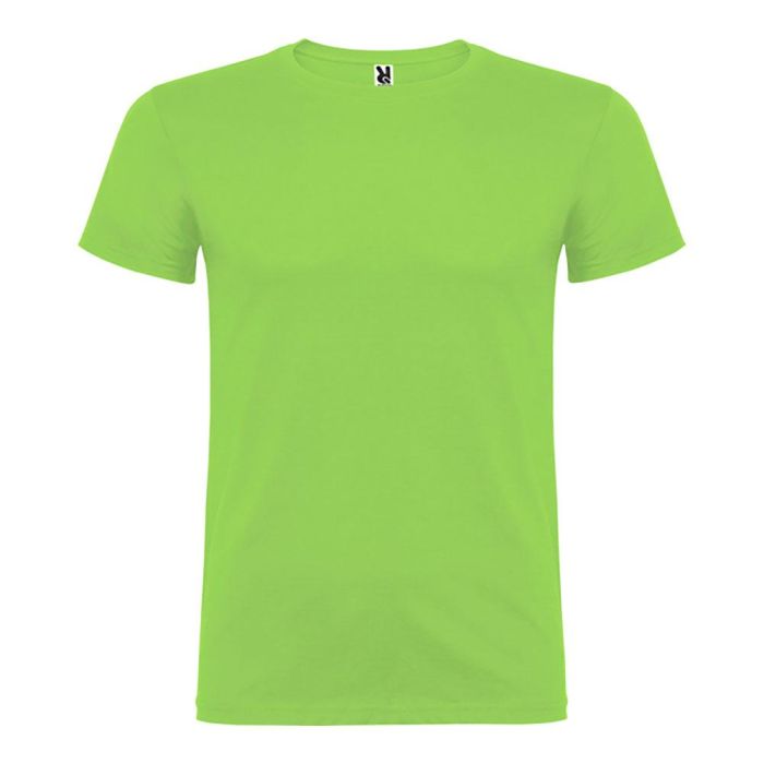 Camiseta beagle verde oasis t.s 0 Camiseta beagle verde oasis t.s 0
