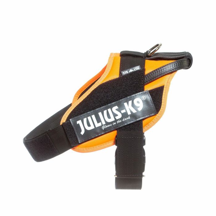 Arnés para Perro Julius K9 IDC Naranja L/XL 2 71-96 cm 3