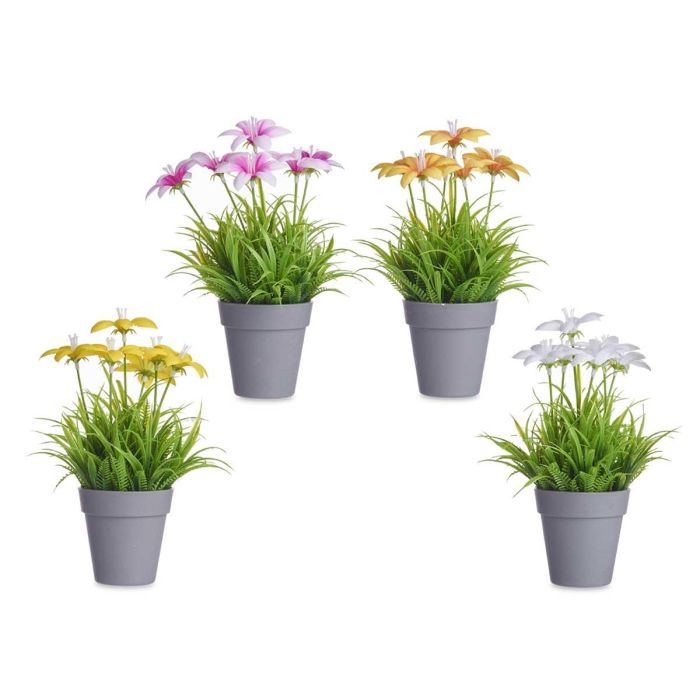 Maceta Flor Abierta Surtidos Ibergarden 14x21x14cm (24 Unidades) 1 Maceta Flor Abierta Surtidos Ibergarden 14x21x14cm (24 Unidades) 1