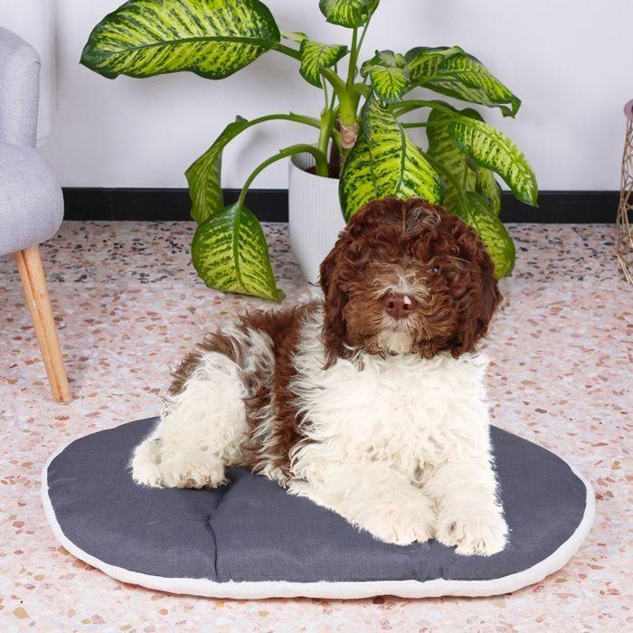 Ferplast FER1710772460841 Cojín RELAX 78/8 de 78 x 50 cm en Tejido y piel 1 Ferplast FER1710772460841 Cojín RELAX 78/8 de 78 x 50 cm en Tejido y piel 1