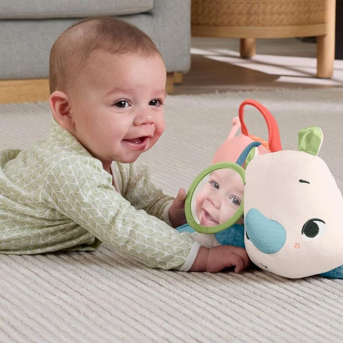 Peluche Pequeño Rinoceronte Hyr55 Fisher Price 4