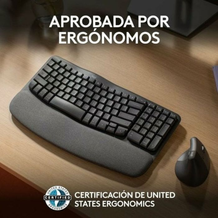 Teclado Logitech 920-012296 Grafito Español QWERTY 10