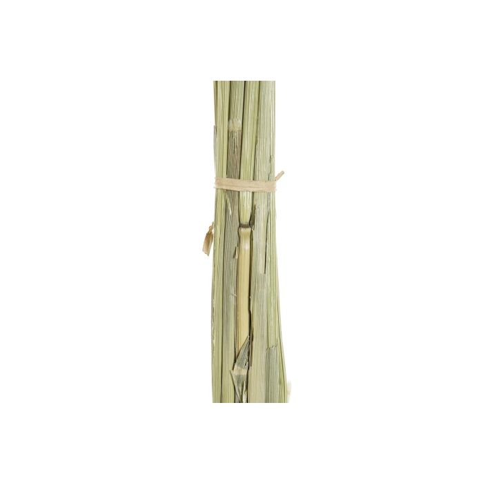 DKD Home Decor Rama de Flor Seca de Avena para Decoración de Hogar, Color Crema Rosa Palo, Altura 60 cm, Set de 12 Unidades 2