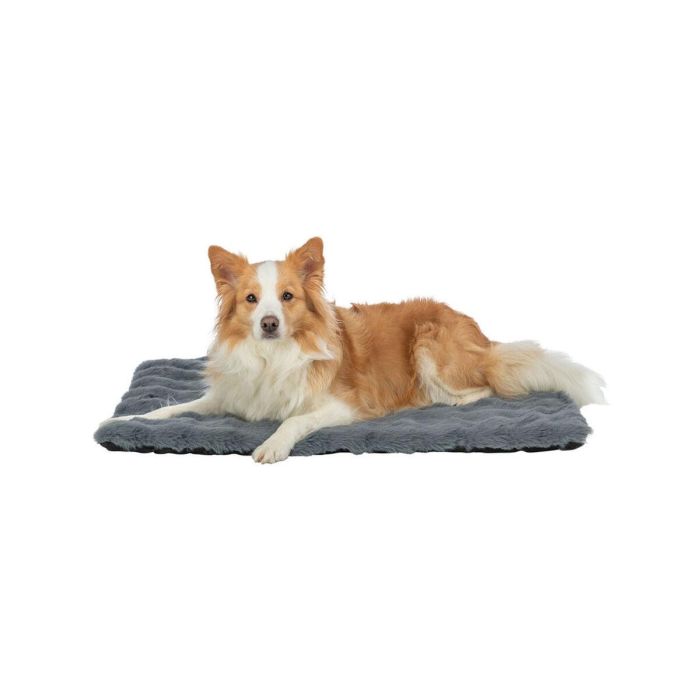 Colchoneta Trixie Gris oscuro 70 × 50 cm Perro 10 Colchoneta Trixie Gris oscuro 70 × 50 cm Perro 10