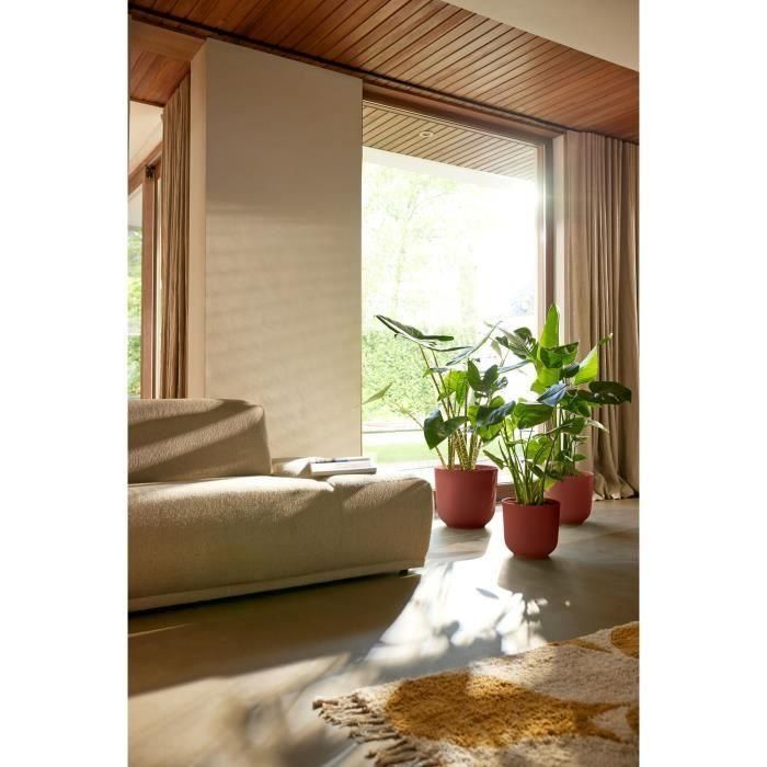 Elho ELH2942803070300 Maceta Redonda Jazz Roja para Interior, L 30 x An 29,5 x Al 27 cm, 100% Reciclada 3