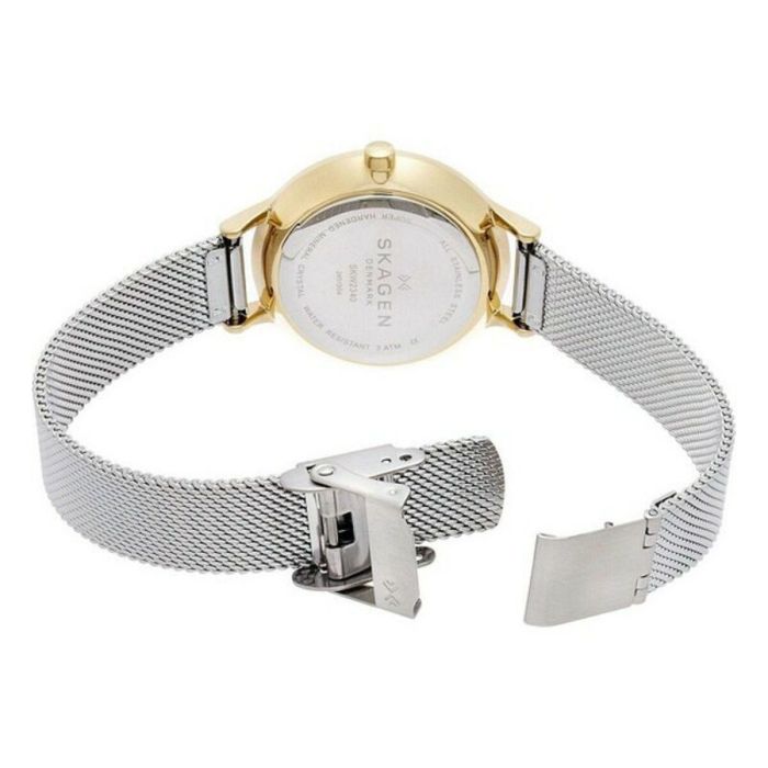 Reloj Mujer Skagen SKW2340 1